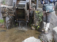 축령산 산행(경기 가평)