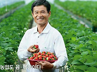 충남 논산 딸기농장
