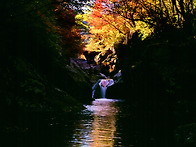 산& 山(秋) FALL