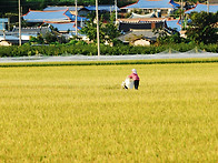 세상사는일이 다 그렇고 ..