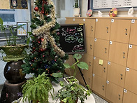 도서관 식물들(2019-20..