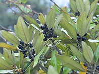 2018년 제주도 원..