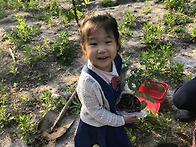 연수 연재 토마토 이야기