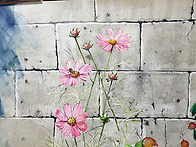 질문요~선생님