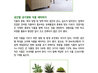 약이 되는 실내 정원, 공..