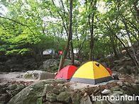 왕초보가 궁금해하는 황당..