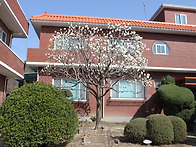 따뜻한 봄기운을 느껴 보세..