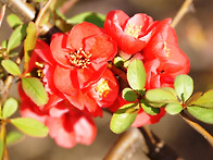 2016.04.01 아이파크에 핀..