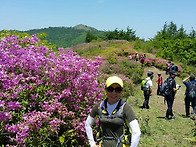 바래봉의 꽃