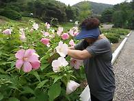 포항 수목원