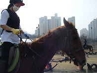 김아라기승