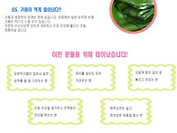천연 한방 숙성 PSB 닥터..