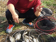 함안 정곡수로에서 대박