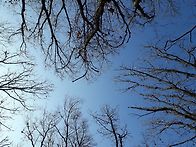 본질에 다가서다...