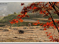 가을풍경~~