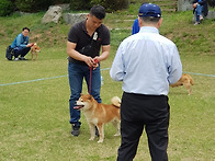 제3회 일본견 전람회