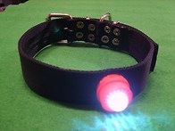 46번째 경매 합니..