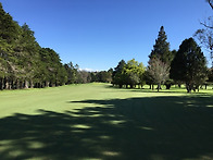whitford park golf..