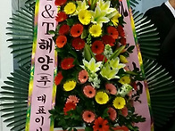 통영에서