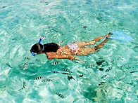 Exciting Snorkelin..