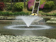 청남대를 다녀오면서...2