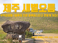 제주 새별오름 뚜벅이여행..