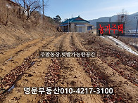 횡성 농가주택 해..