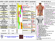 Re:척추랜드마크