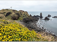 제주도 탐방 [섭지코지 /..