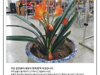 대전 청춘학교 3월 소식지..