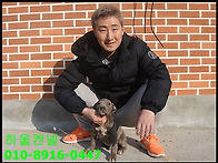 강이 자견 블루핏..
