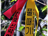 여수 진례산에서 만난...