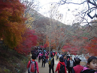 제183차 독수리산악회 2012년 11월 정기산..