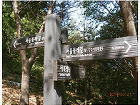 덕산~봉산 수요산책......