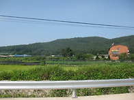 양도면 삼흥리 ,..