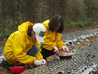 밭에서 찍은 사진