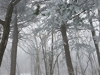 태백산