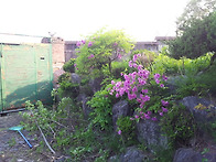 2013-05-15 대문 페인트 ..