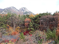 계룡산 학림사