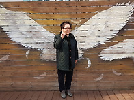 예산 평화원 가지치기