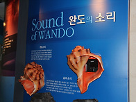 ◈부산 삼육회 완도를 가다..