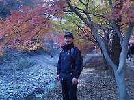 내장산 단풍여행