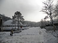 눈온날 나비공원에 다녀왔..