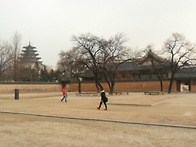 20111214 경복궁..