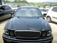 다이너스티 광택