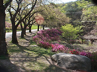 마이산, 전주 한옥마을