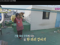 스카이 펫파크 ＜잘 살아보..