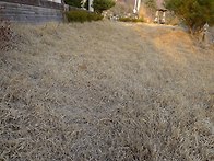 양평 용문산자연휴..