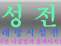 나성전자