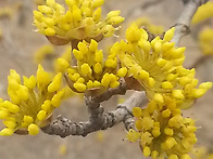 편협하지 않고...